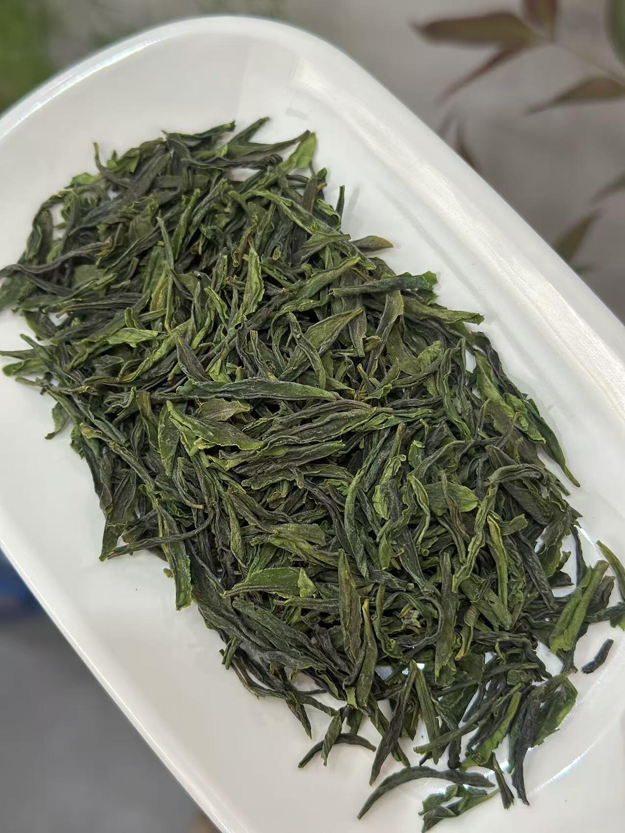 六安瓜片属于什么茶？核心茶类特点详解