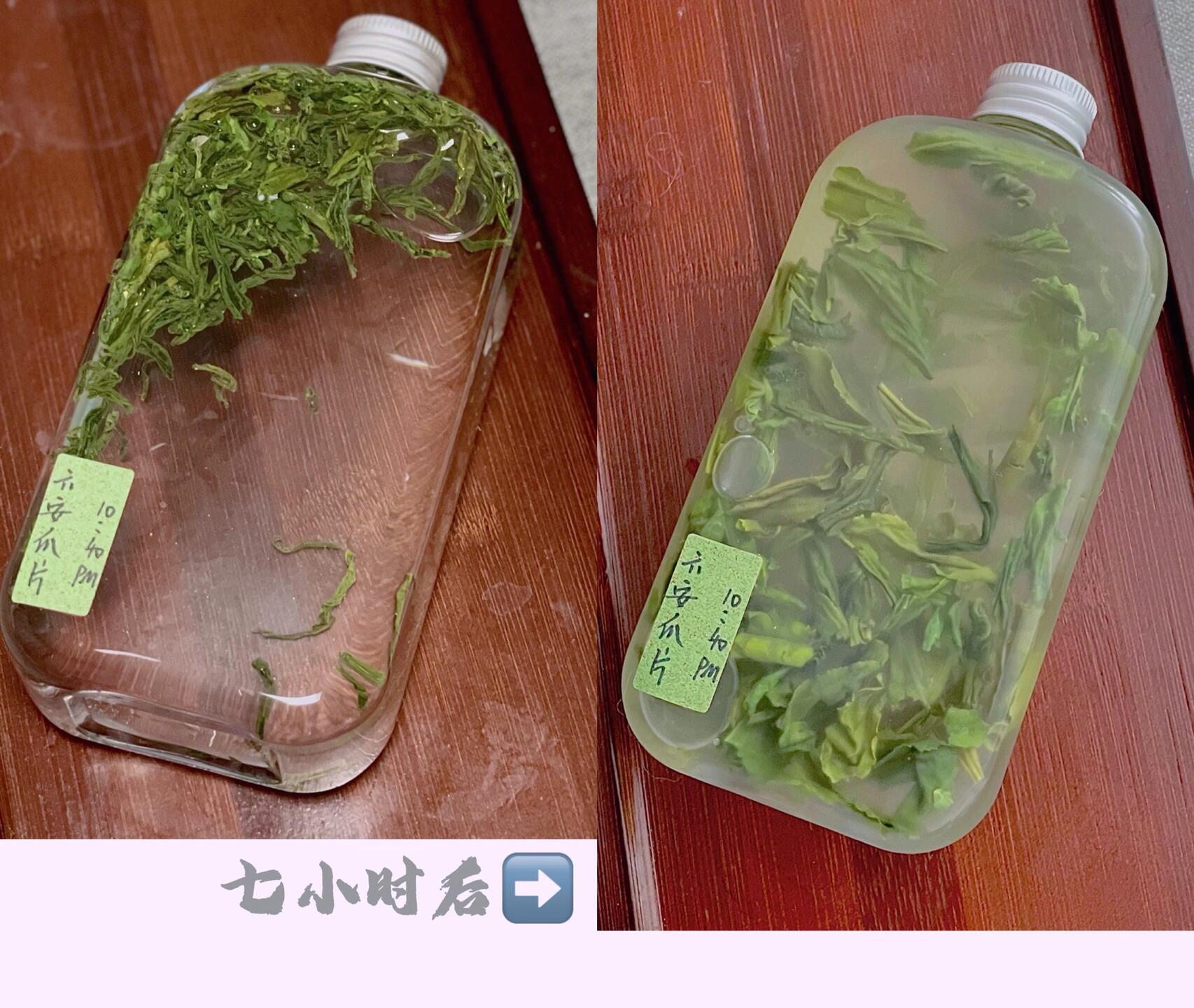 夏天冷泡六安瓜片需要冷藏吗？