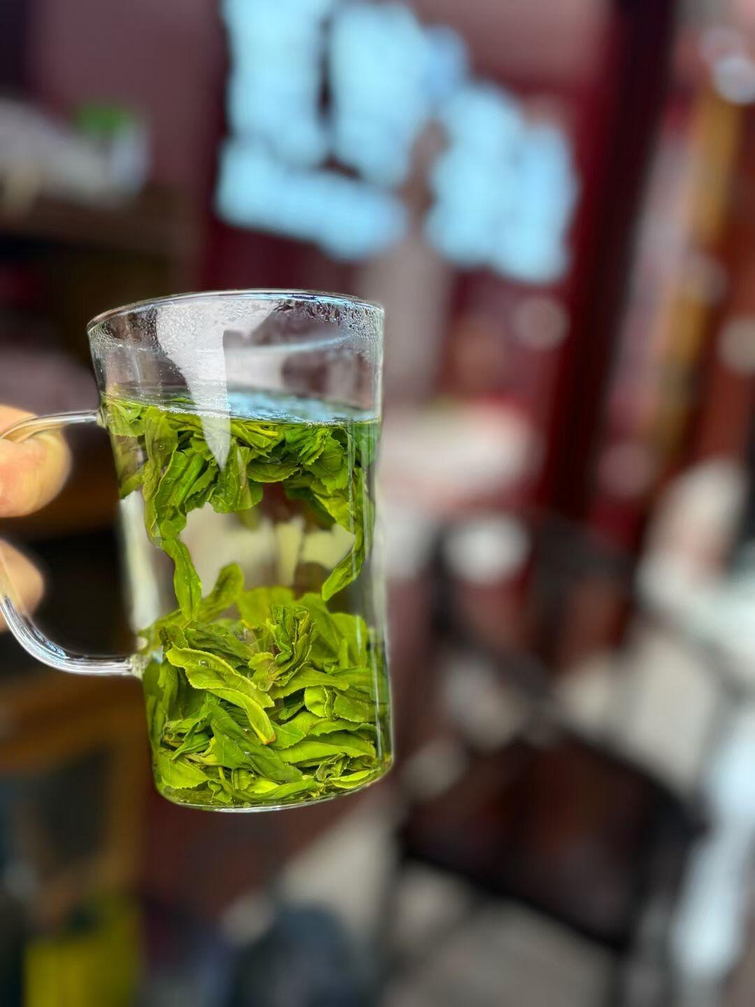 常喝六安瓜片对身体的益处与注意事项