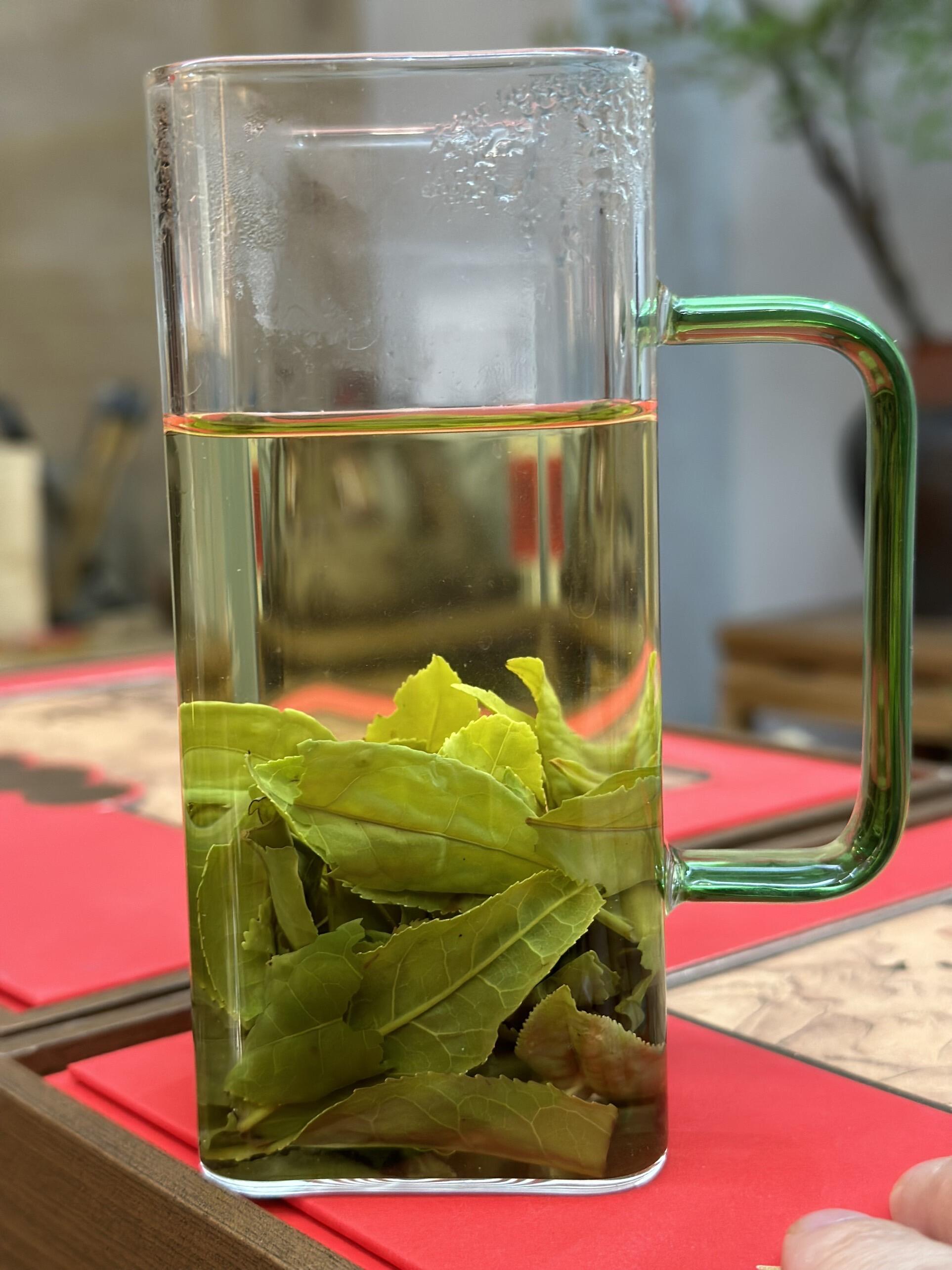 新手入坑六安瓜片完整入门指南