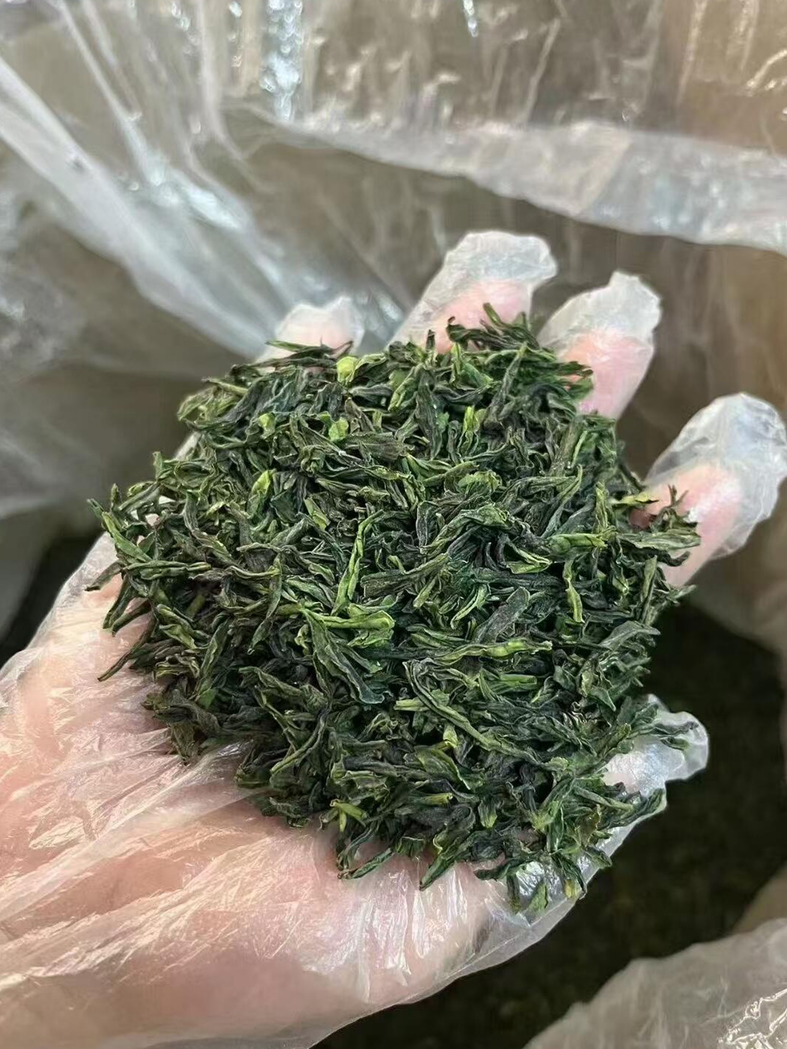 六安瓜片正确保存方法